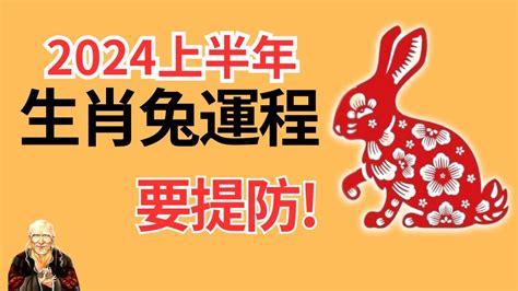 2024年肖兔運程|生肖兔2024年运程 生肖兔2024年每月运势大全